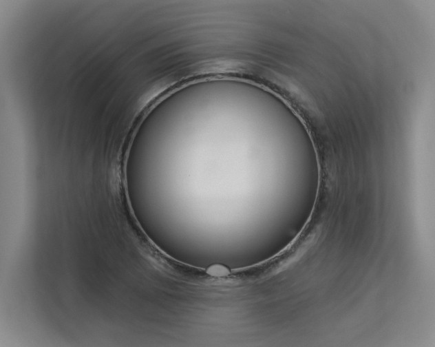 X0000113301073200909281059