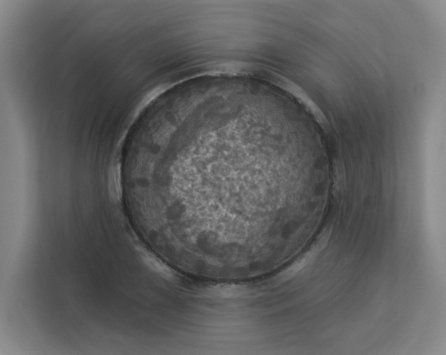 X0000113301075200909281059