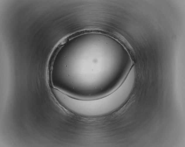 X0000113301076200909281059