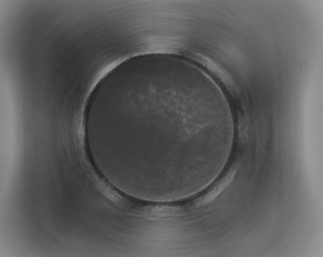 X0000113301077200909281059