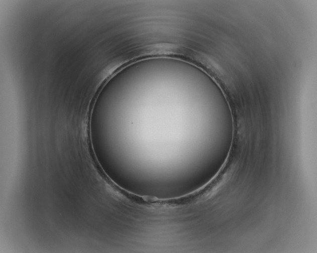 X0000113301081200909281059