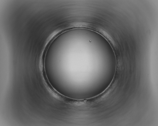 X0000113301082200909281059