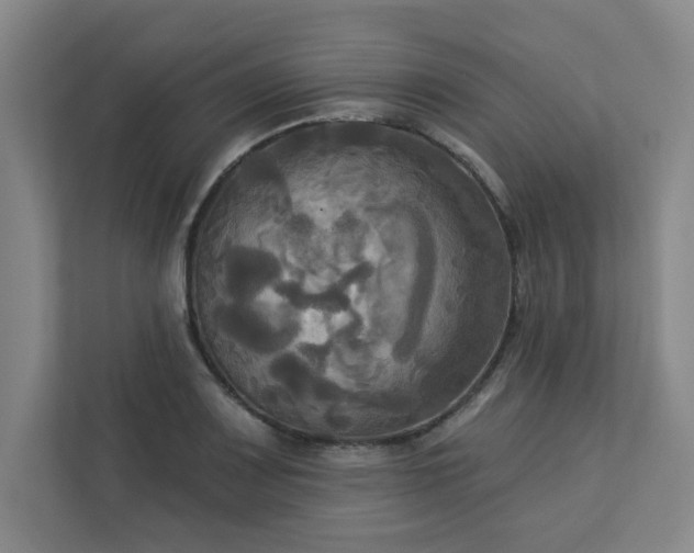 X0000113301083200909281059