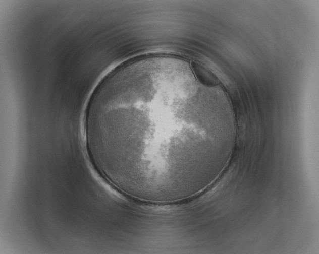 X0000113301084200909281059