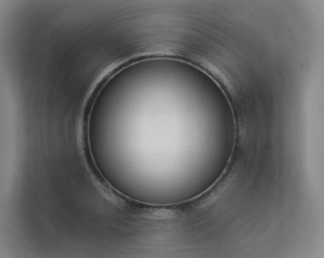 X0000113301085200909281059