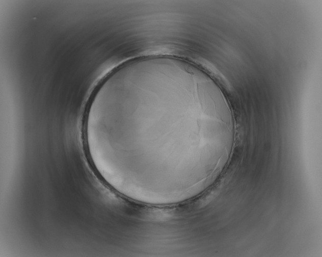 X0000113301086200909281059