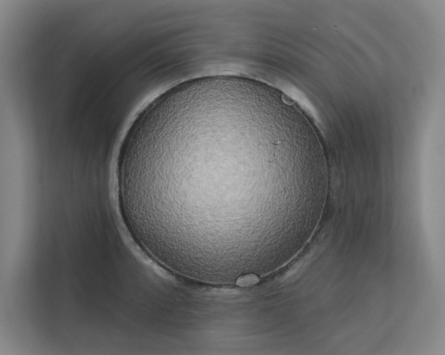 X0000113301088200909281059