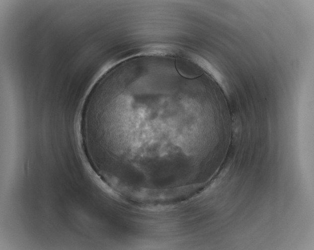 X0000113301091200909281059