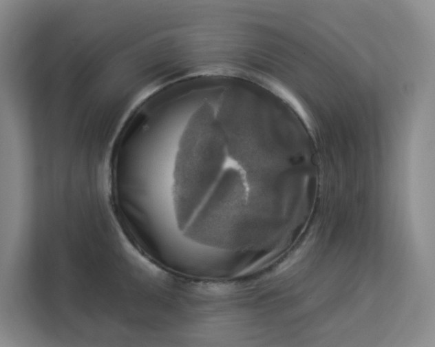 X0000113301095200909281059