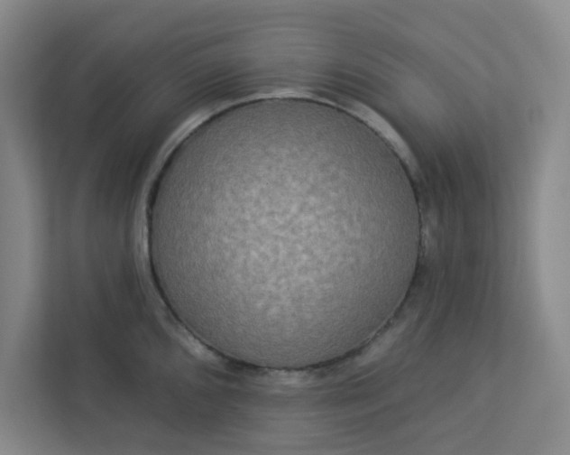 X0000113301096200909281059