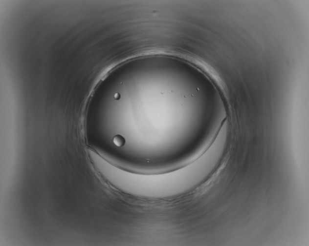 X0000113301097200909281059