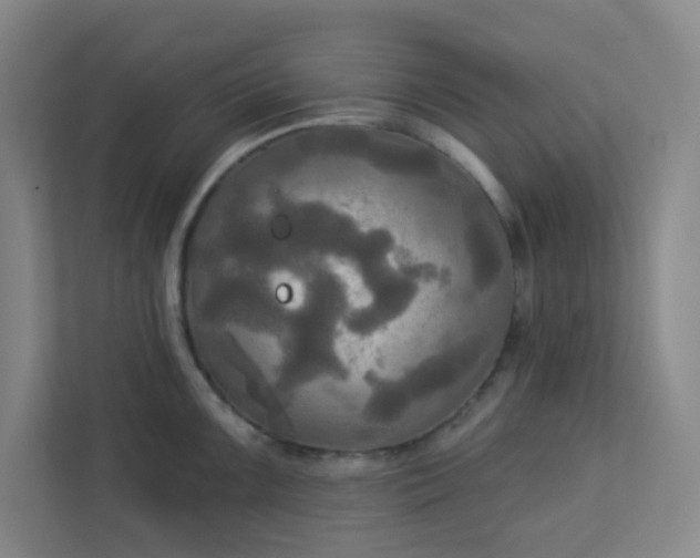 X0000113301099200909281059