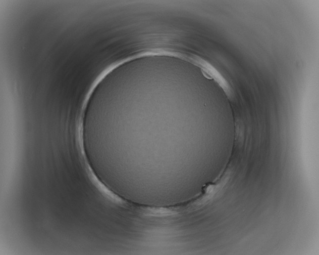 X0000113301100200909281059