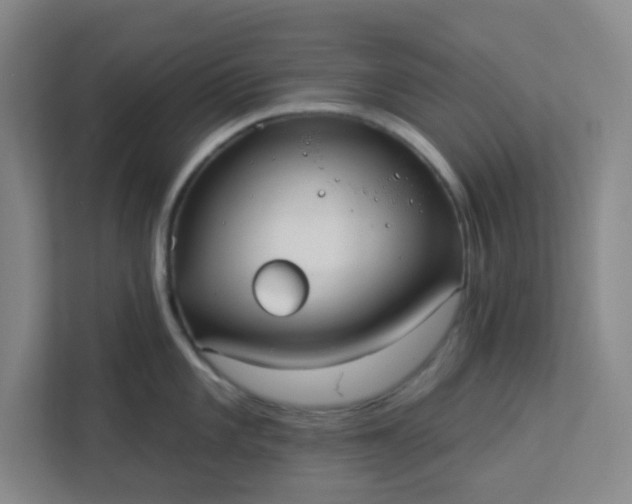 X0000113301101200909281059