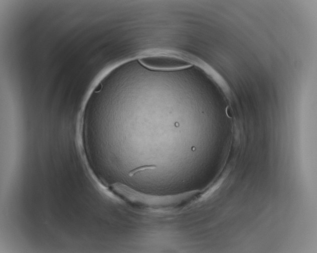 X0000113301102200909281059