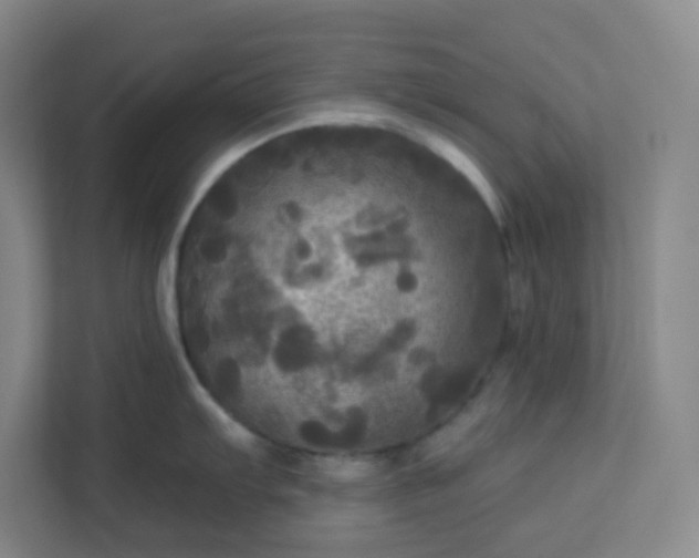 X0000113301103200909281059