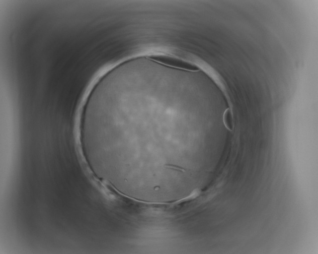 X0000113301104200909281059