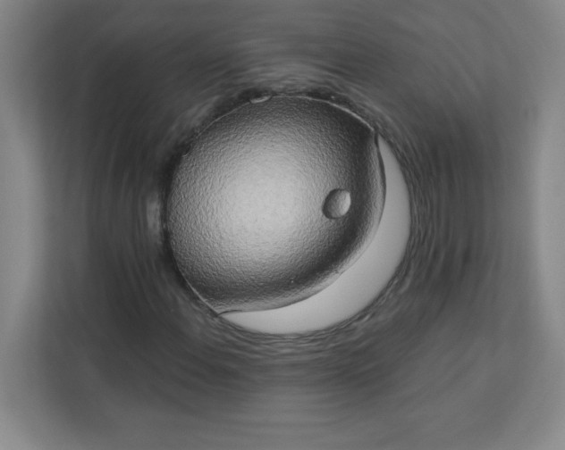 X0000113301108200909281059