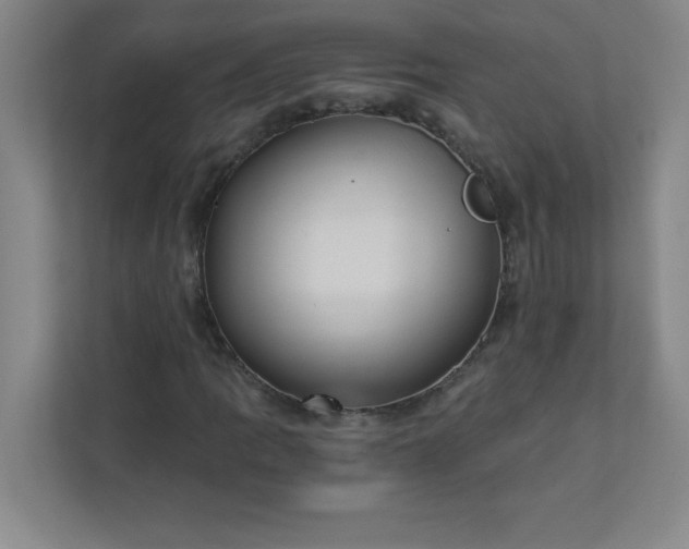 X0000113301109200909281059