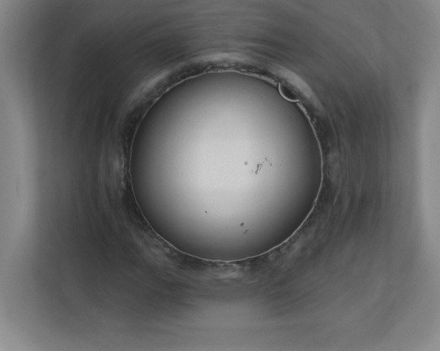 X0000113301111200909281059