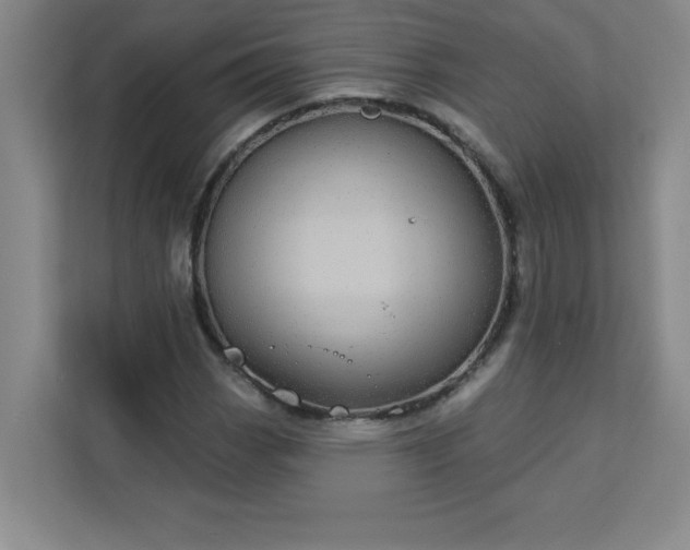 X0000113301113200909281059