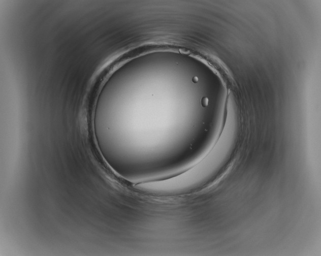 X0000113301114200909281059