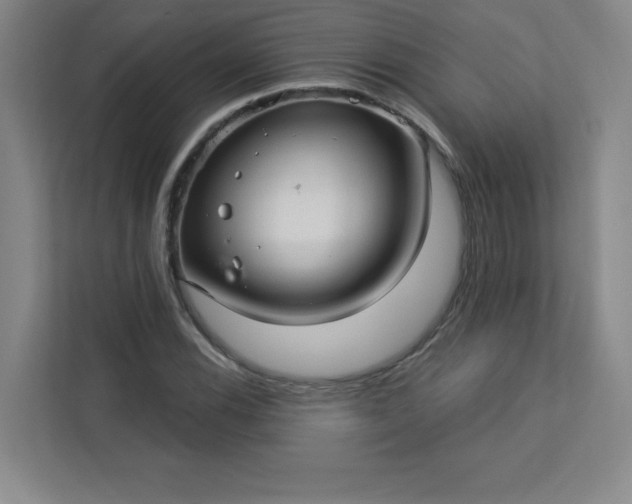 X0000113301116200909281059