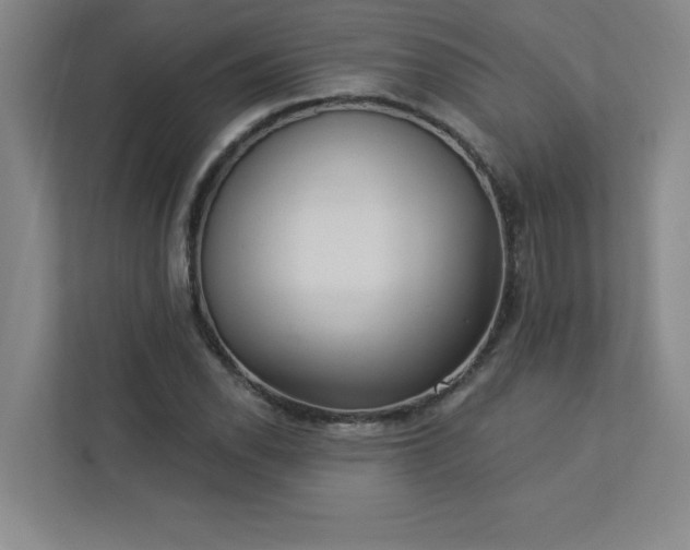 X0000113301118200909281059