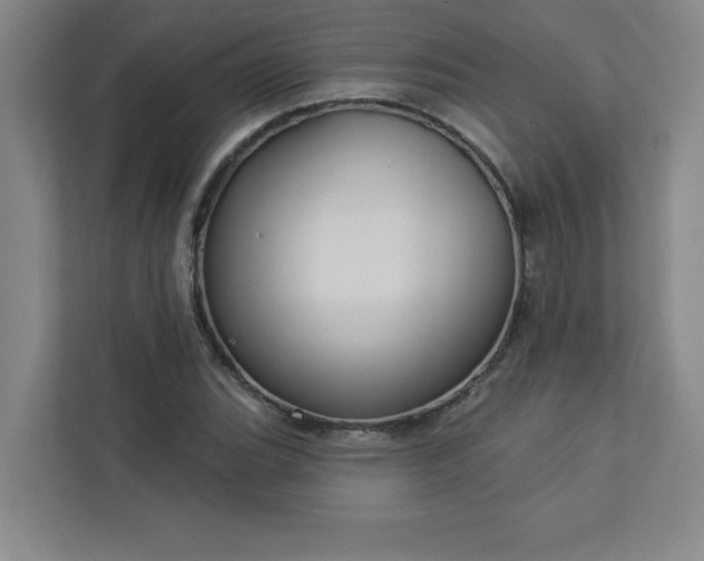 X0000113301119200909281059