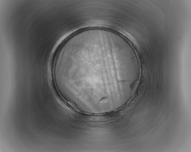 X0000113301120200909281059