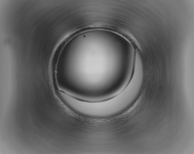 X0000113301122200909281059