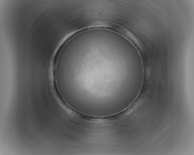 X0000113301124200909281059