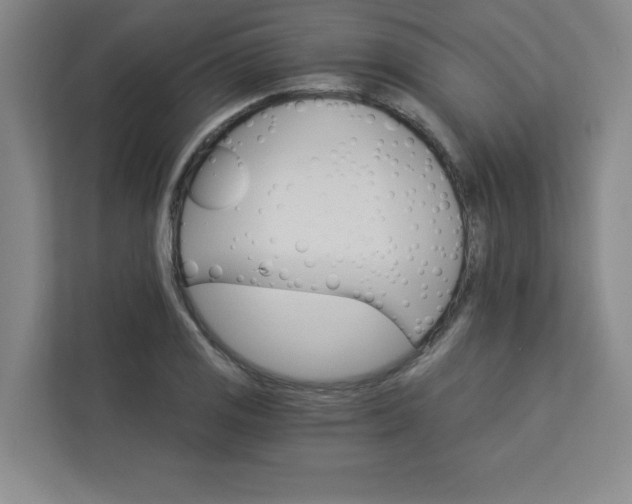 X0000113301125200909281059