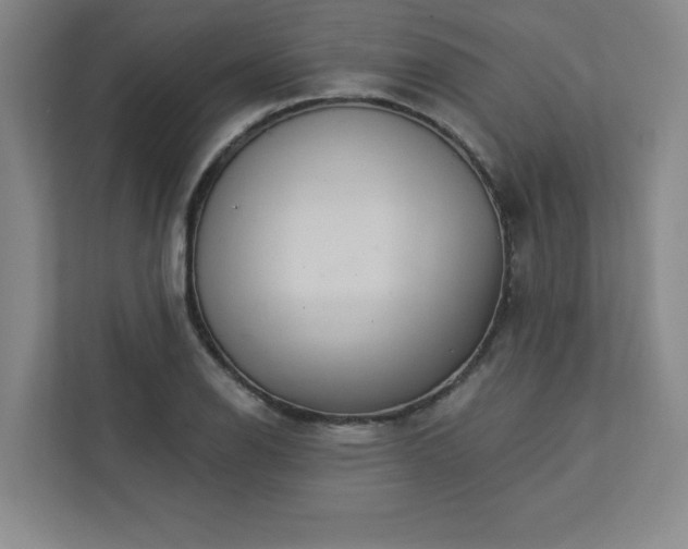 X0000113301126200909281059