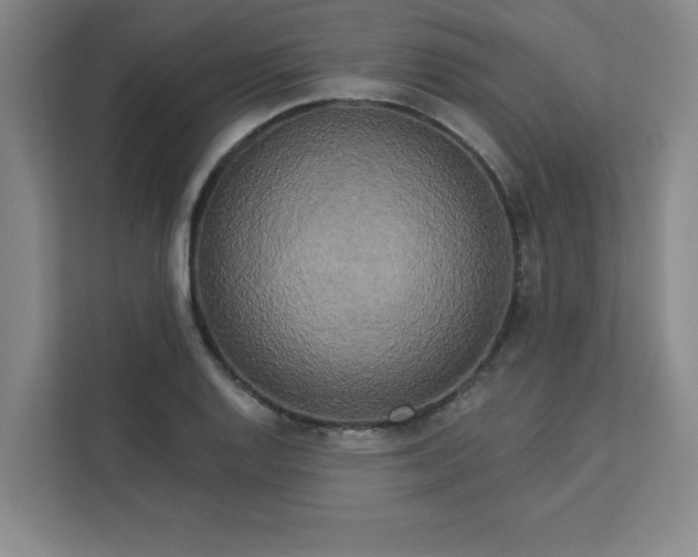 X0000113301128200909281059