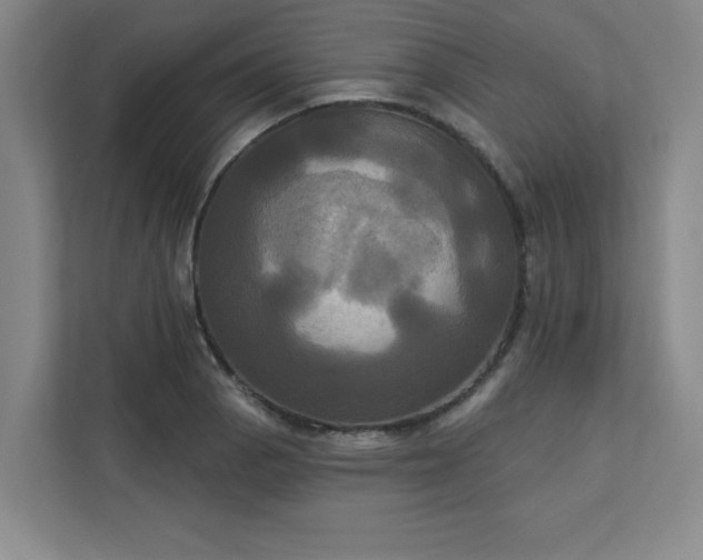 X0000113301129200909281059