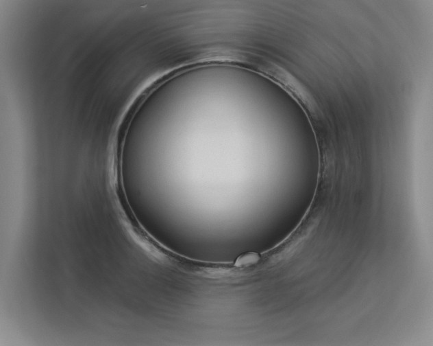 X0000113301132200909281059