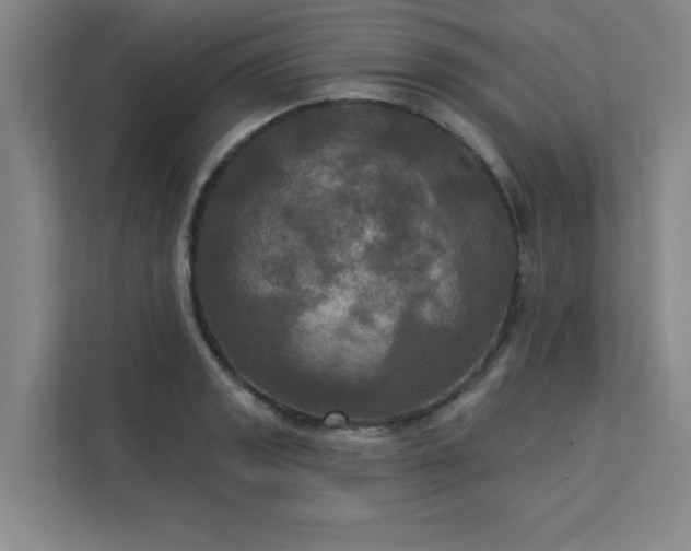 X0000113301133200909281059