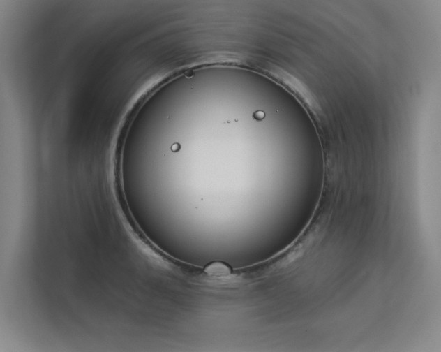 X0000113301135200909281059