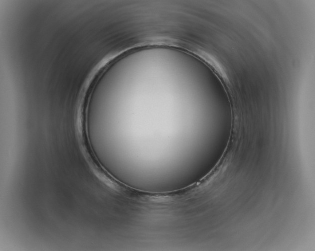 X0000113301136200909281059