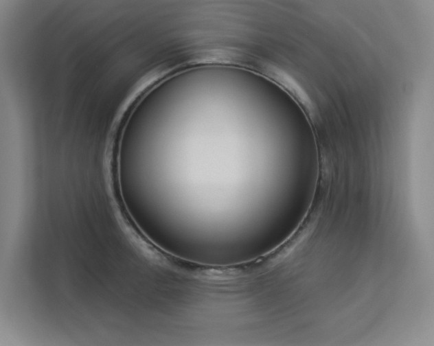 X0000113301138200909281059