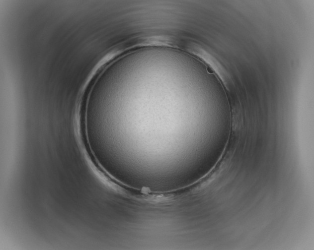 X0000113301139200909281059