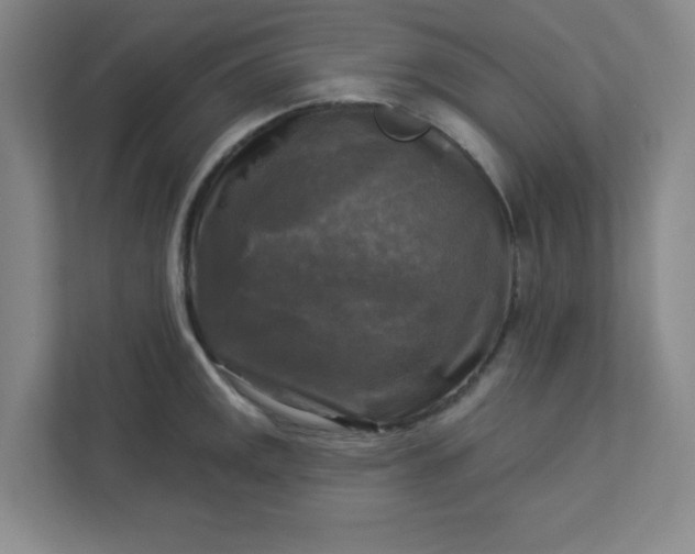 X0000113301141200909281059