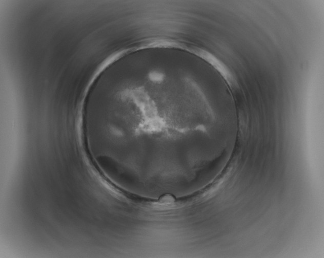 X0000113301142200909281059