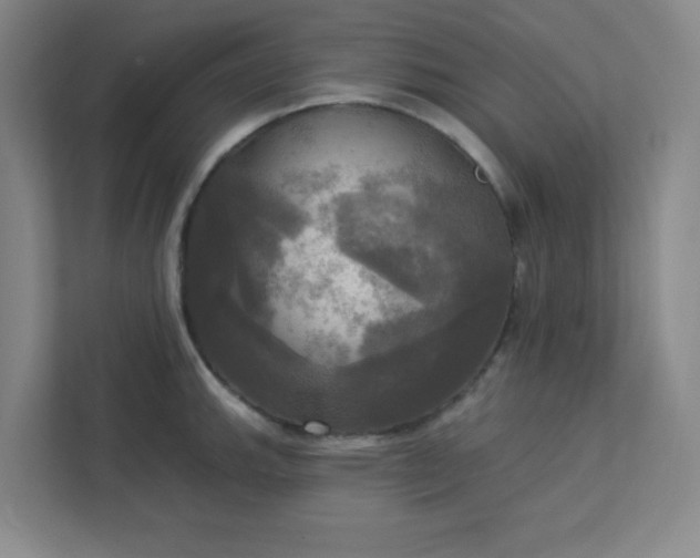 X0000113301143200909281059