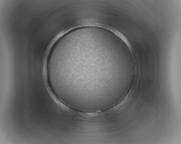 X0000113301144200909281059