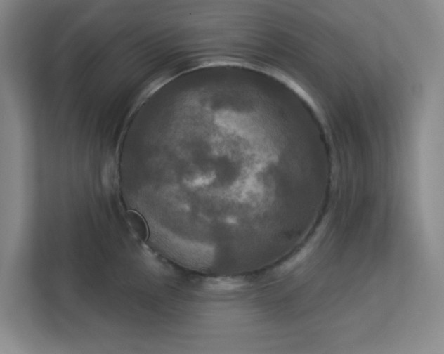 X0000113301145200909281059