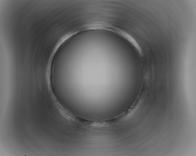 X0000113301146200909281059