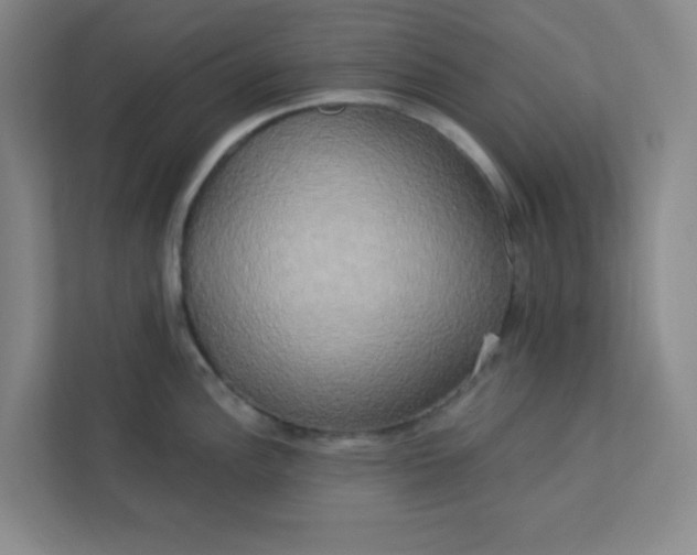 X0000113301148200909281059