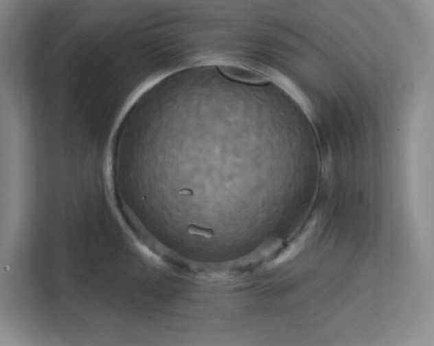 X0000113301149200909281059